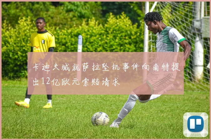 卡迪夫城就萨拉坠机事件向南特提出12亿欧元索赔请求