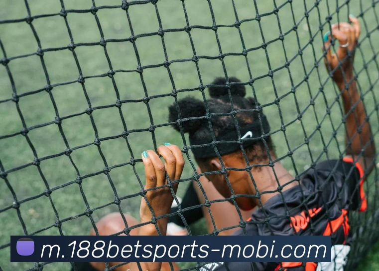 188bet体育APP 封面图